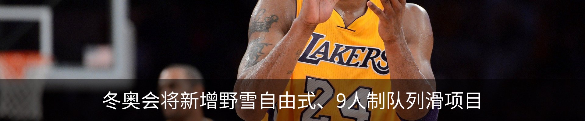 新闻动态