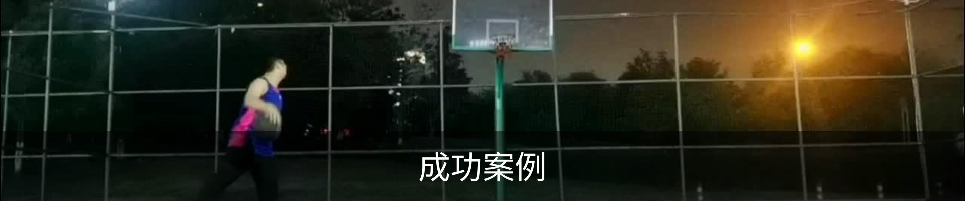 成功案例