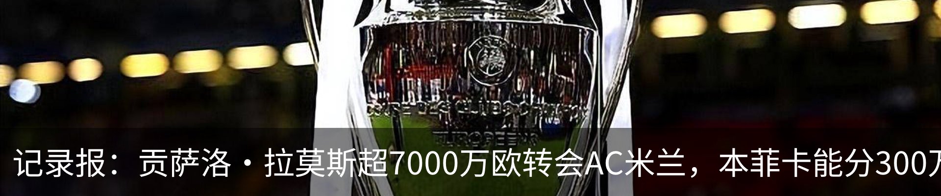 新闻动态