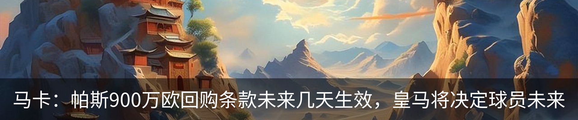 新闻动态