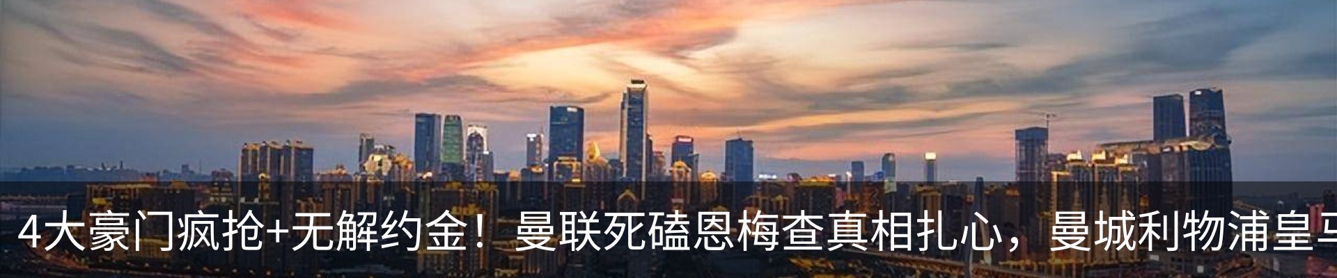 新闻动态